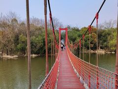 -上海吴淞炮台湾国家湿地公园