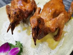 -鸽鸟轩(石岐店)