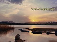 -永定河休闲森林公园