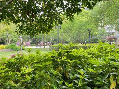 -徐家汇源景区-衡山公园