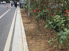 -无锡市市民中心