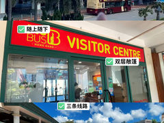 -Big Bus Tours 敞篷观光巴士
