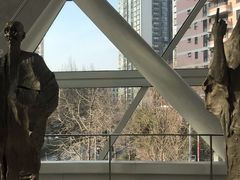 -凤凰中心