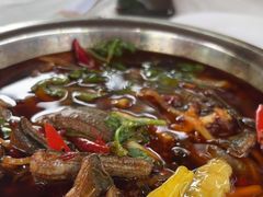 -高坎一品甲鱼庄(两河店)