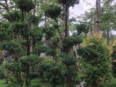 -荔枝公园(福田区)