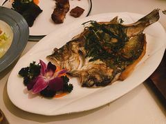 香煎海鲈鱼-JUKEBOX玖部音乐餐厅(华侨城店)