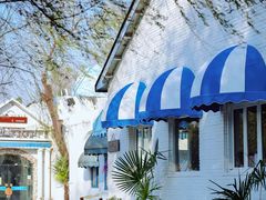 -J Create城市露营咖啡·简餐·宠物(上海动物园店)