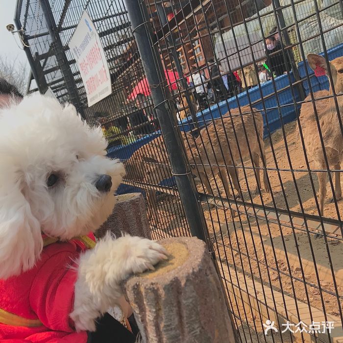 童牛岭风景区图片