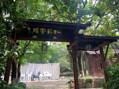 -白马涧龙池景区