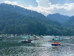 -黔灵山公园