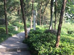 -云龙山
