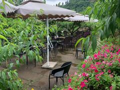 -桃源山庄·水蜜桃采摘·柴火鸡·烧烤团建(龙泉山店)