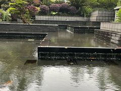 -宁波香格里拉大酒店