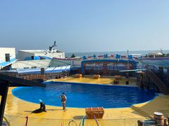 -海合安青岛极地海洋公园
