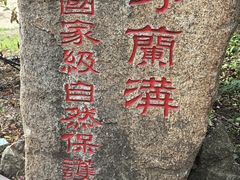 -茅兰沟国家森林公园