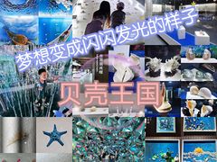 -贝壳王国博物馆