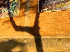 -西安电影制片厂