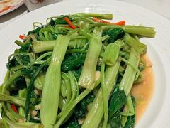 腐乳通心菜-稻香海鲜饭店(第一国际店)