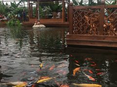 -汤山翠谷生态餐厅