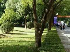 -上海交通大学医学院附属瑞金医院(总院)