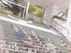-九龙公园