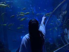 -威海华夏城景区