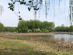-东郊湿地公园