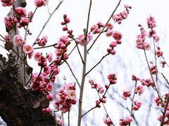 -雨花胜境