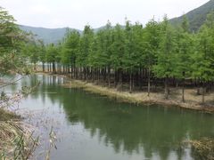 -东海大峡谷