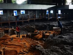 -自贡恐龙博物馆