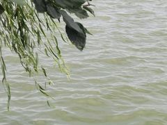 -金银湖国家城市湿地公园