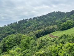 -敬亭山风景名胜区