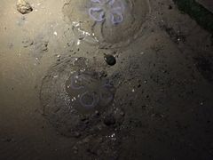 -东戴河风景区-止锚湾