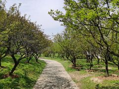 -无锡梅园公园