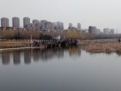-前关湿地公园