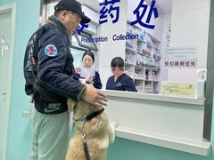 -北京观赏动物医院·24小时大型综合·猫专科·异宠专科