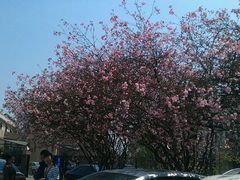 -上海市龙华烈士陵园