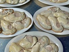 -花苑美食横琴生蚝火锅(拱北粤华路店)