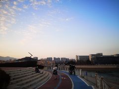 -琴岛之星摩天轮