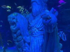 -沈阳海洋探索中心