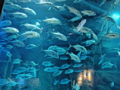 -成都浩海立方海洋公园