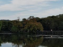 -西湖游船