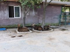 -宁波野生动物园