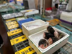 -寻味顺德·南记酒家·传统顺德菜·鱼生(广源路店)