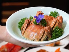 -香港狮子山下·明星粤菜餐厅(北苑店)