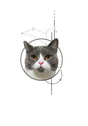 -飛凡TATTOO纹身•原创