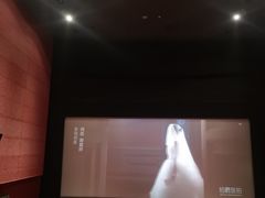 -美嘉欢乐影城(万象城店)