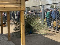 -长白岛森林公园