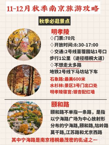 11-12月南京旅游攻略景点美食/南京行李寄存