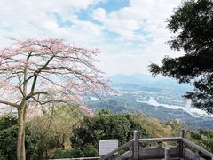 -风云岭森林公园